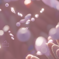 Kožna barijera, zdrava koža, upalne bolesti kože, mikrobiom kože