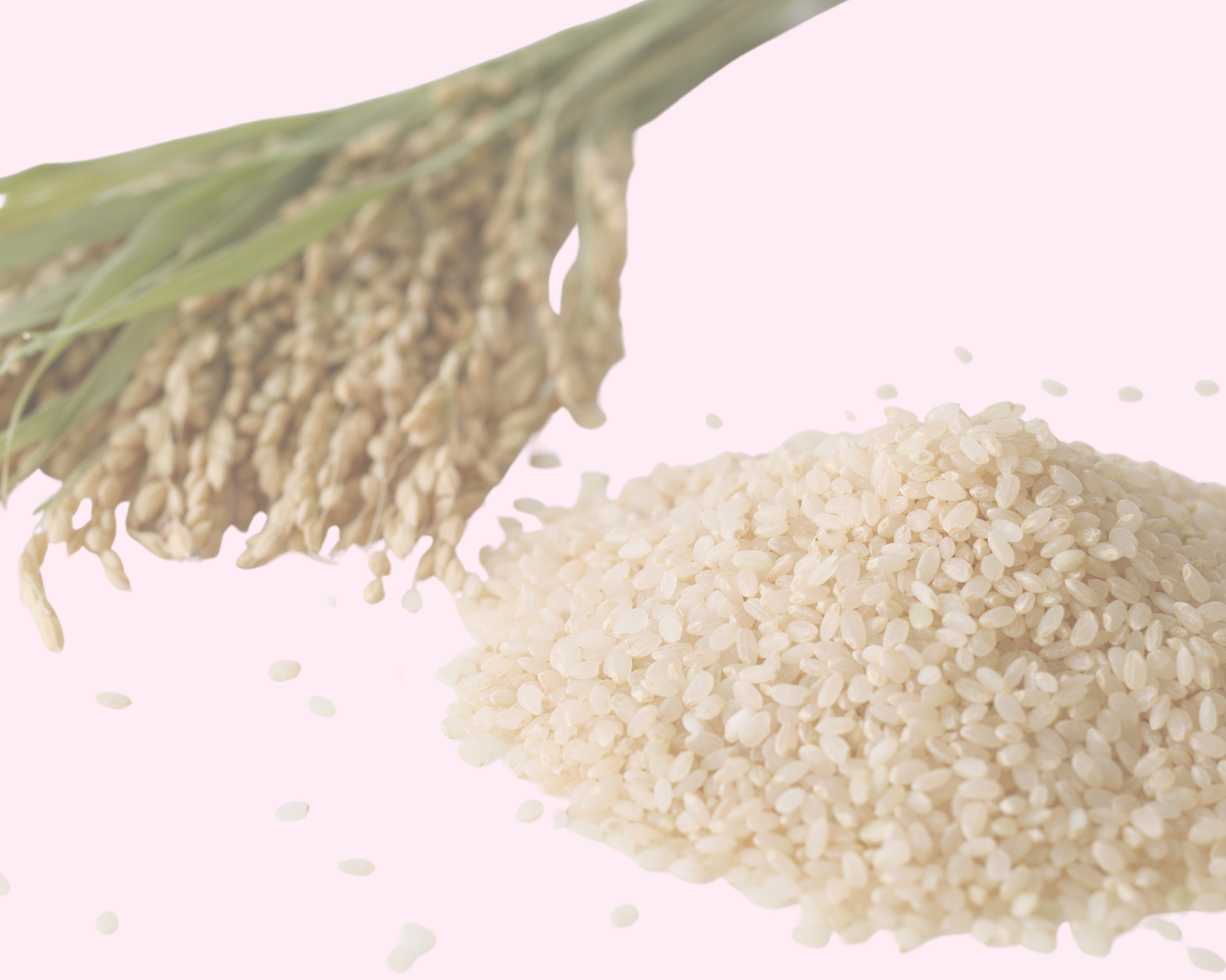 Fermentirana riža u kozmetici